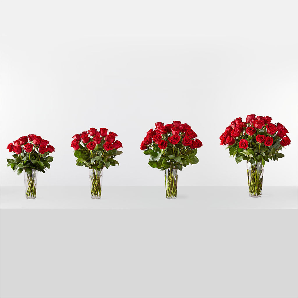 Long Stem Red Rose Bouquet – Charleston Cut Flower Company, Charleston WV