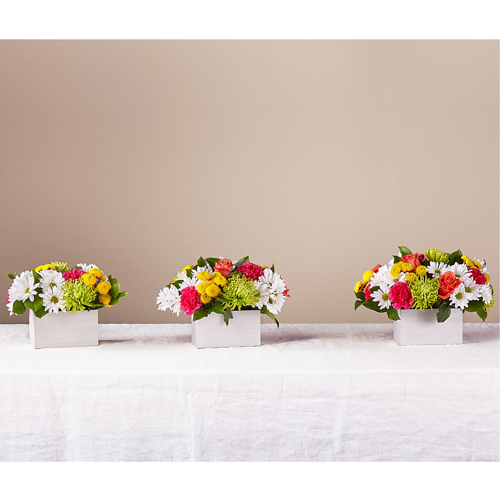 Sorbet Bouquet – Charleston Cut Flower Company, Charleston WV