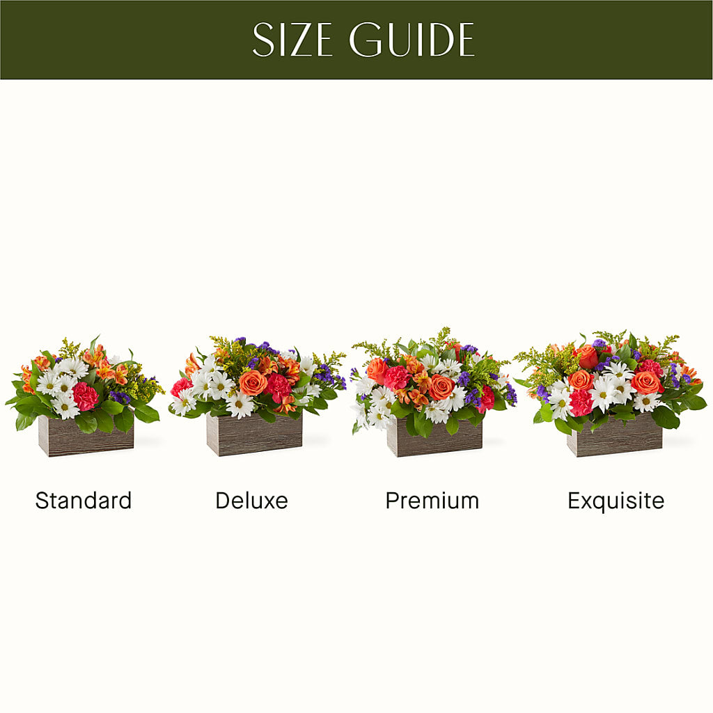Oopsie Daisy Box Bouquet – Charleston Cut Flower Company, Charleston WV