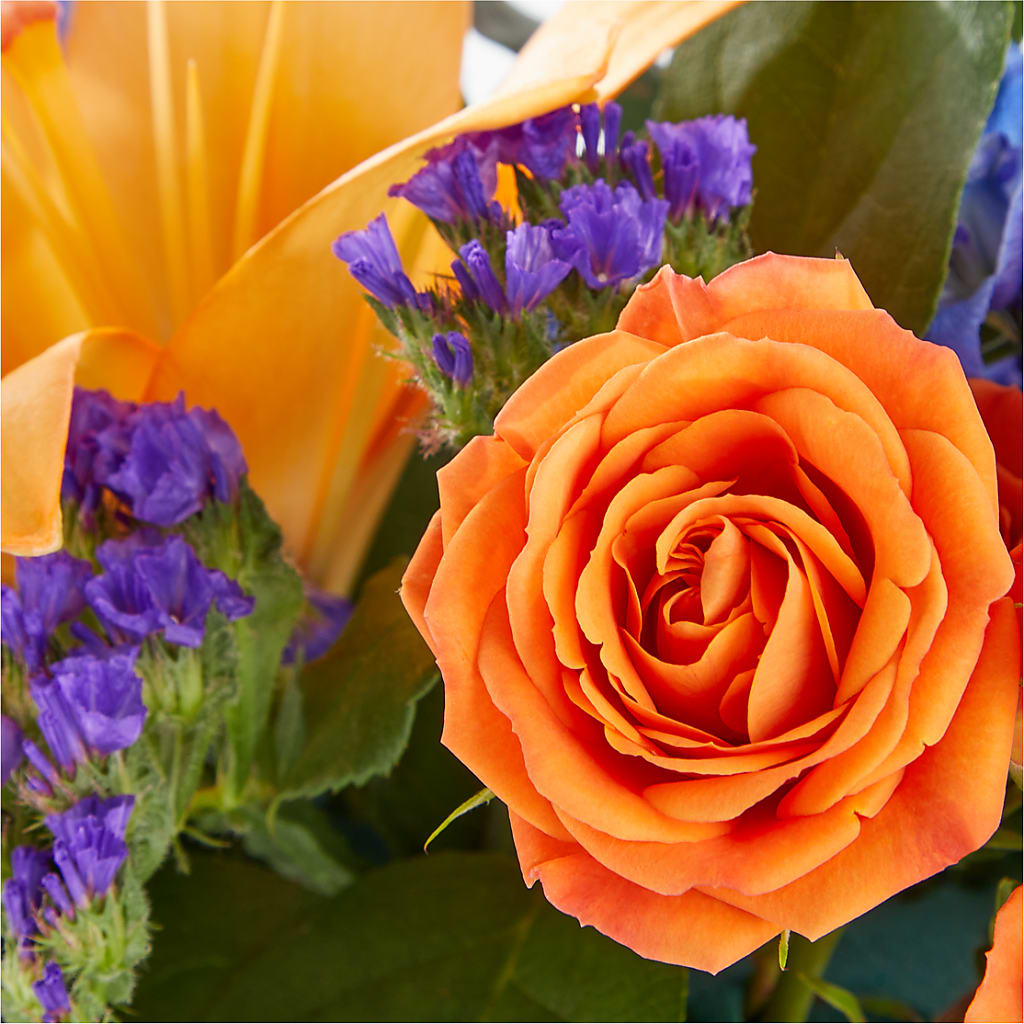 Radiant Citrus Box Bouquet – Charleston Cut Flower Company, Charleston WV