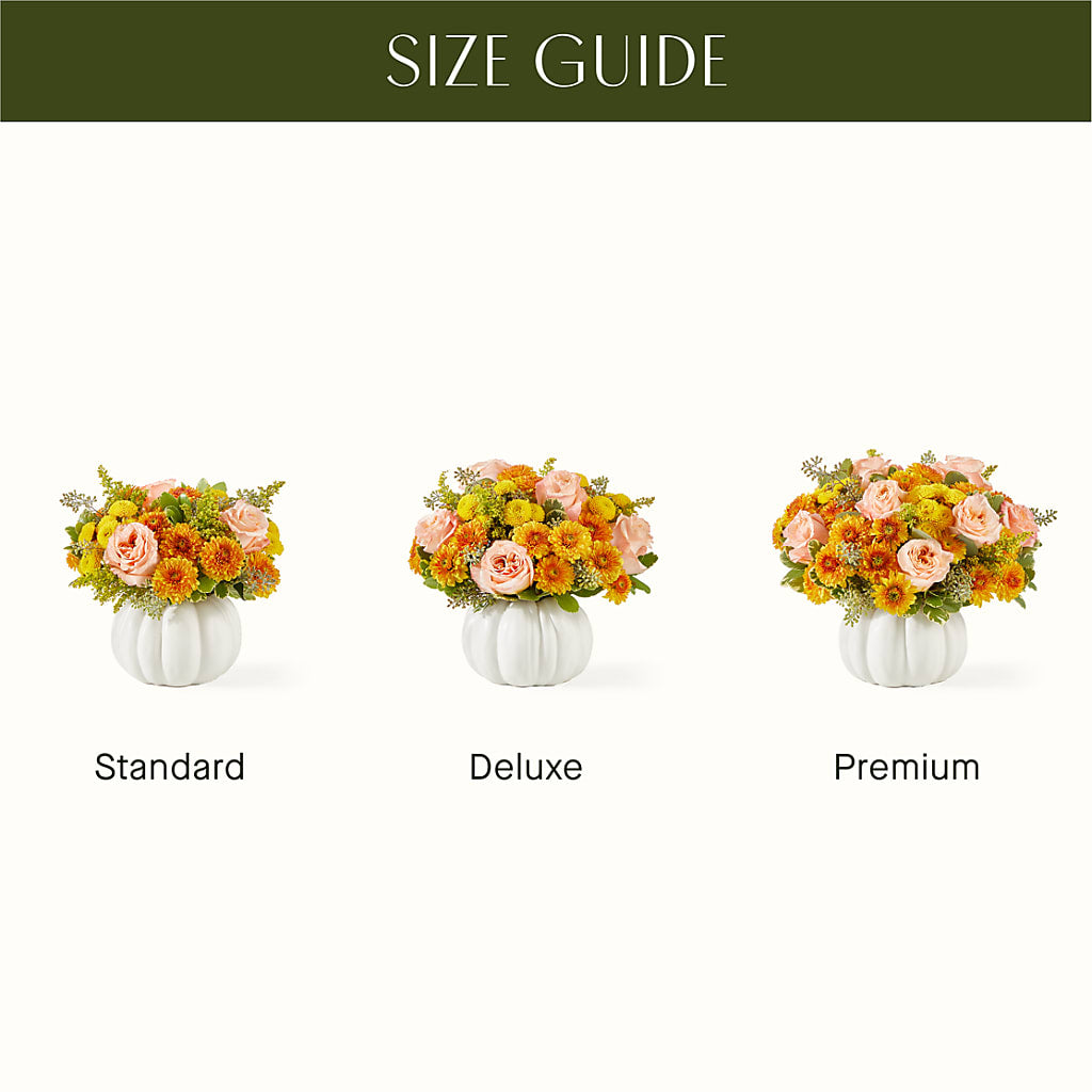 Peachy Pumpkin – Charleston Cut Flower Company, Charleston WV