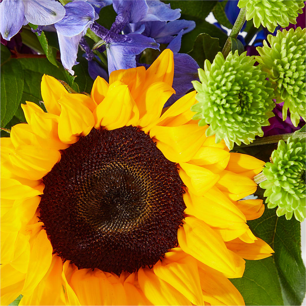 Catching Rays Bouquet – Charleston Cut Flower Company, Charleston WV