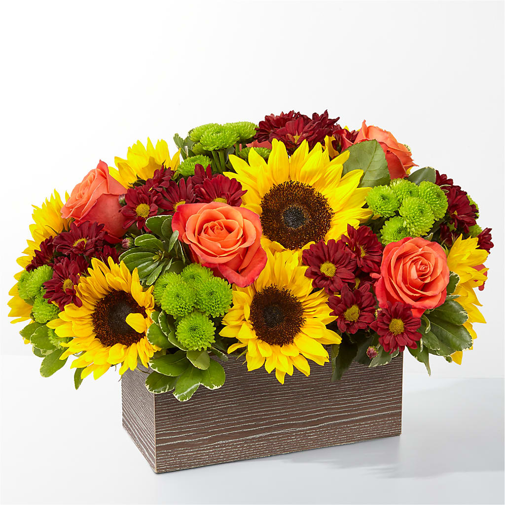 Happy Harvest Garden – Charleston Cut Flower Company, Charleston WV