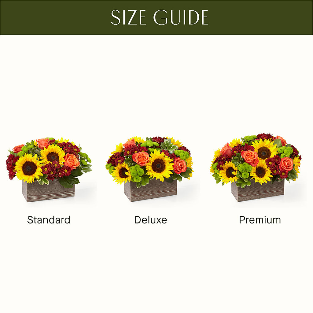 Happy Harvest Garden – Charleston Cut Flower Company, Charleston WV