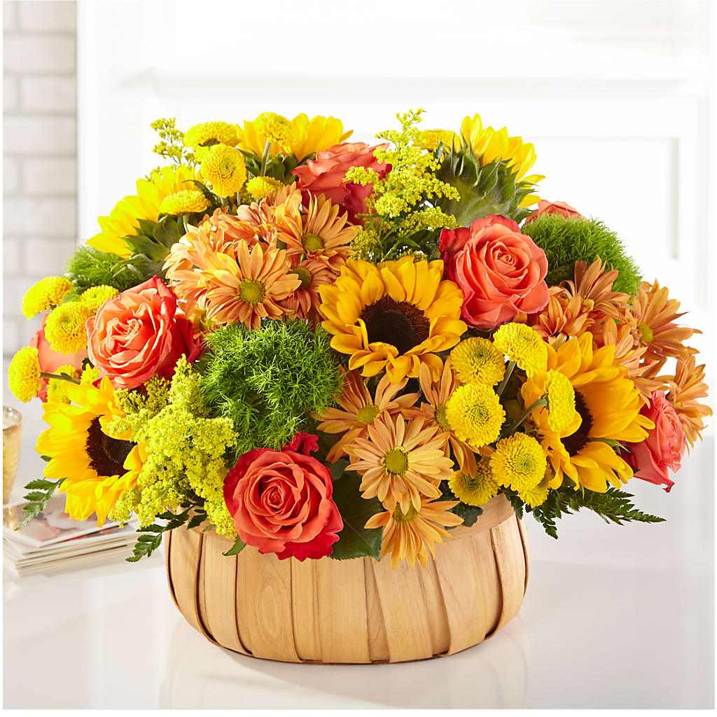 Harvest Sunflower Basket – Charleston Cut Flower Company, Charleston WV
