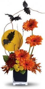 Teleflora's Boo-tiful Bats by CCF – Charleston Cut Flower Company, Charleston WV