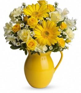 Teleflora's Sunny Day Pitcher of Cheer – Charleston Cut Flower Company, Charleston WV