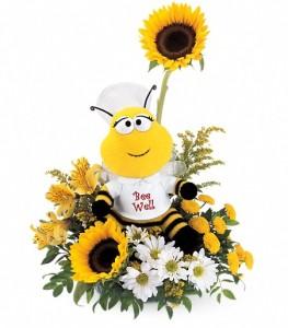 Teleflora's Bee Well by CCF – Charleston Cut Flower Company, Charleston WV
