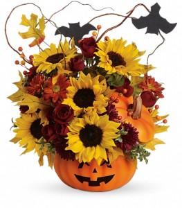 Teleflora's Trick & Treat by CCF – Charleston Cut Flower Company, Charleston WV