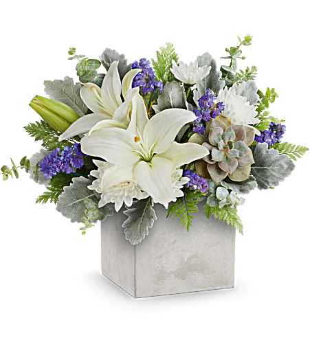 Teleflora's Modern Paradise by CCF – Charleston Cut Flower Company, Charleston WV