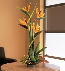 Memories of Paradise - by Charleston Cut Flower Co. – Charleston Cut Flower Company, Charleston WV