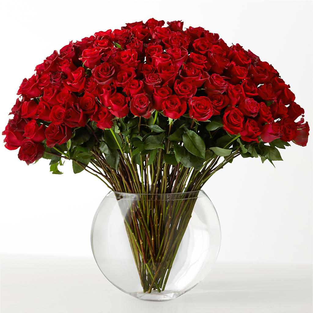 The Idealist – Charleston Cut Flower Company, Charleston WV