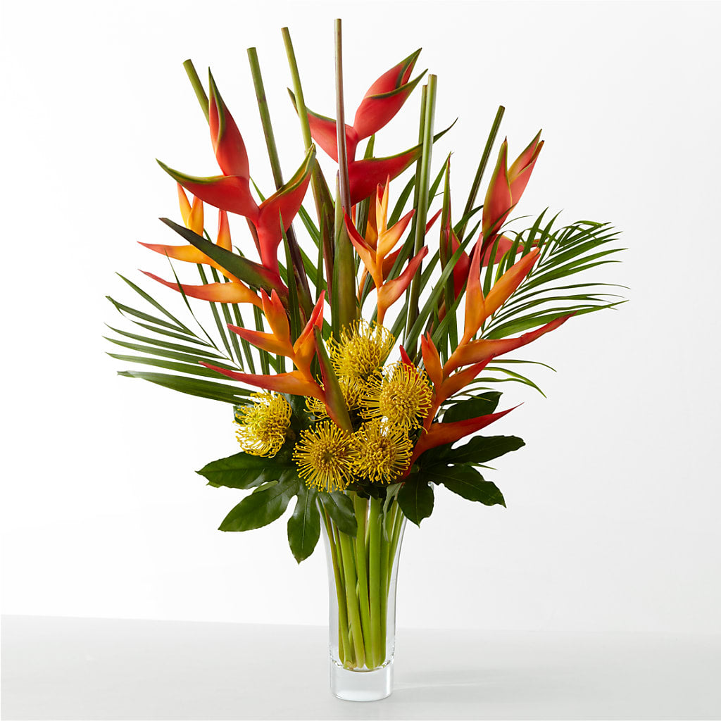 The Drama – Charleston Cut Flower Company, Charleston WV