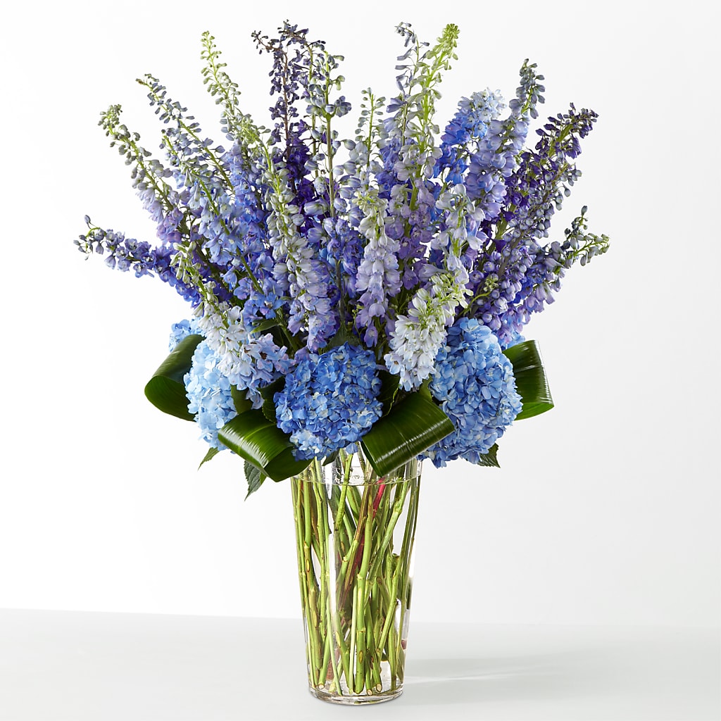 The Editorial – Charleston Cut Flower Company, Charleston WV