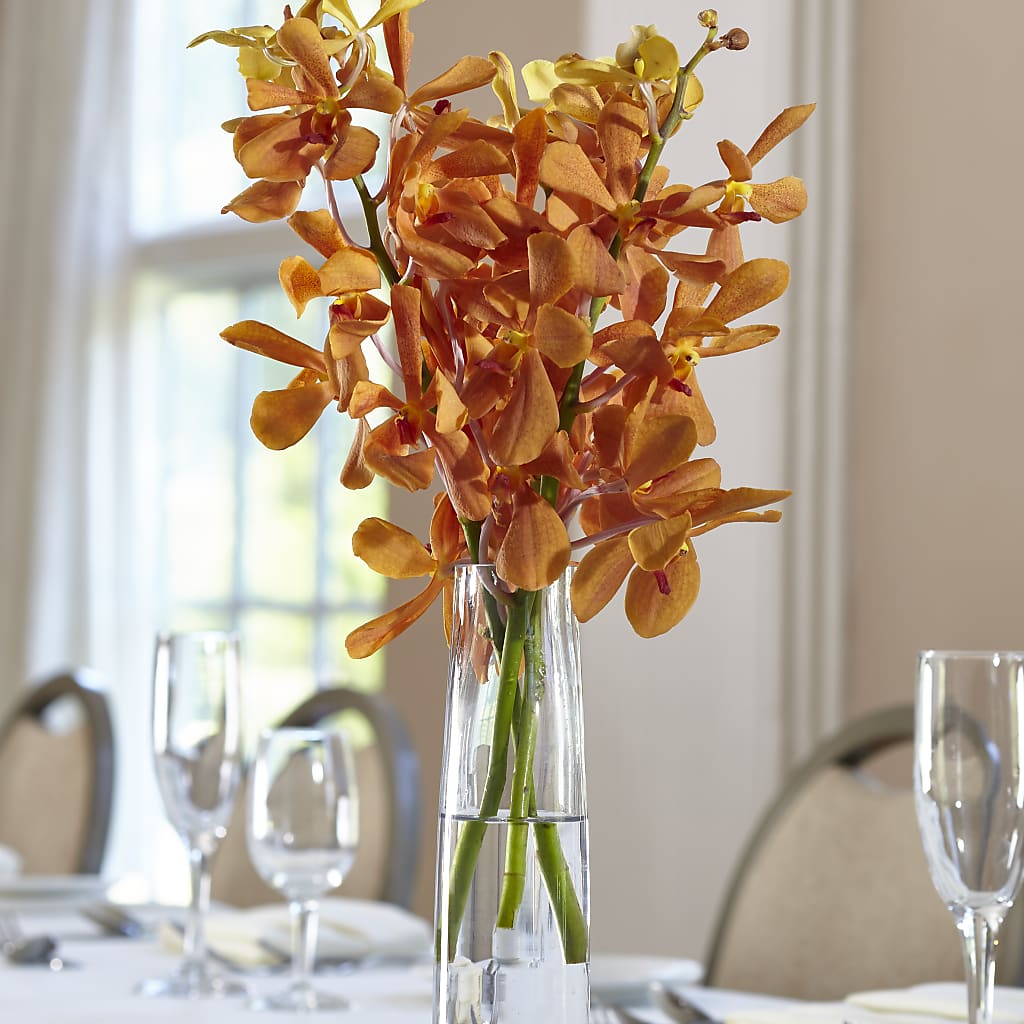 Orange Mokara Bud Vase – Charleston Cut Flower Company, Charleston WV