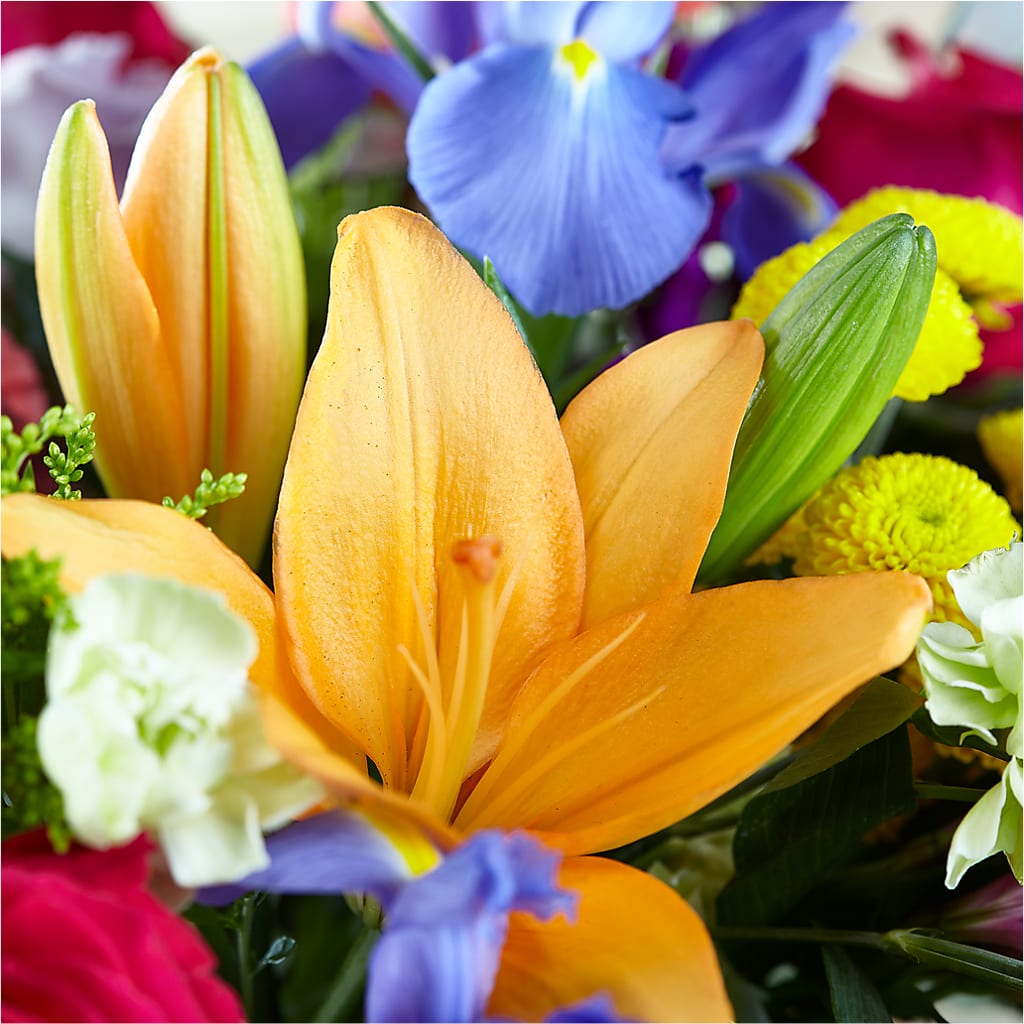 Bold & Bright – A Florist Original –  Charleston Cut Flower Company, Charleston WV