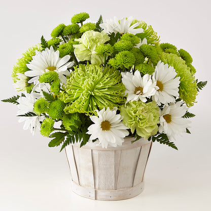 Lucky Charm Basket (Standard) –  Charleston Cut Flower Company, Charleston WV