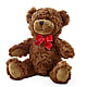 Adorable Plush Bear –  Charleston Cut Flower Company, Charleston WV