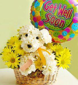 Sick as a Dog –  Charleston Cut Flower Company, Charleston WV