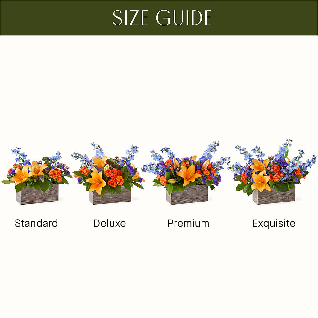 Radiant Citrus Box Bouquet –  Charleston Cut Flower Company, Charleston WV