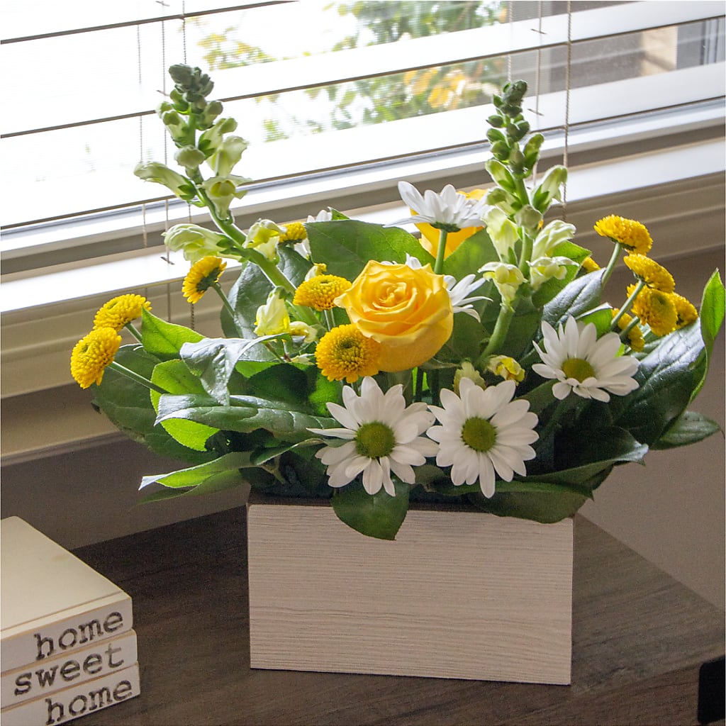 Sun Salutation Box Bouquet –  Charleston Cut Flower Company, Charleston WV