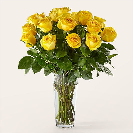 Long Stem Yellow Rose Bouquet –  Charleston Cut Flower Company, Charleston WV