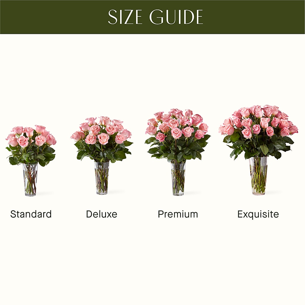 Long Stem Pink Rose Bouquet –  Charleston Cut Flower Company, Charleston WV