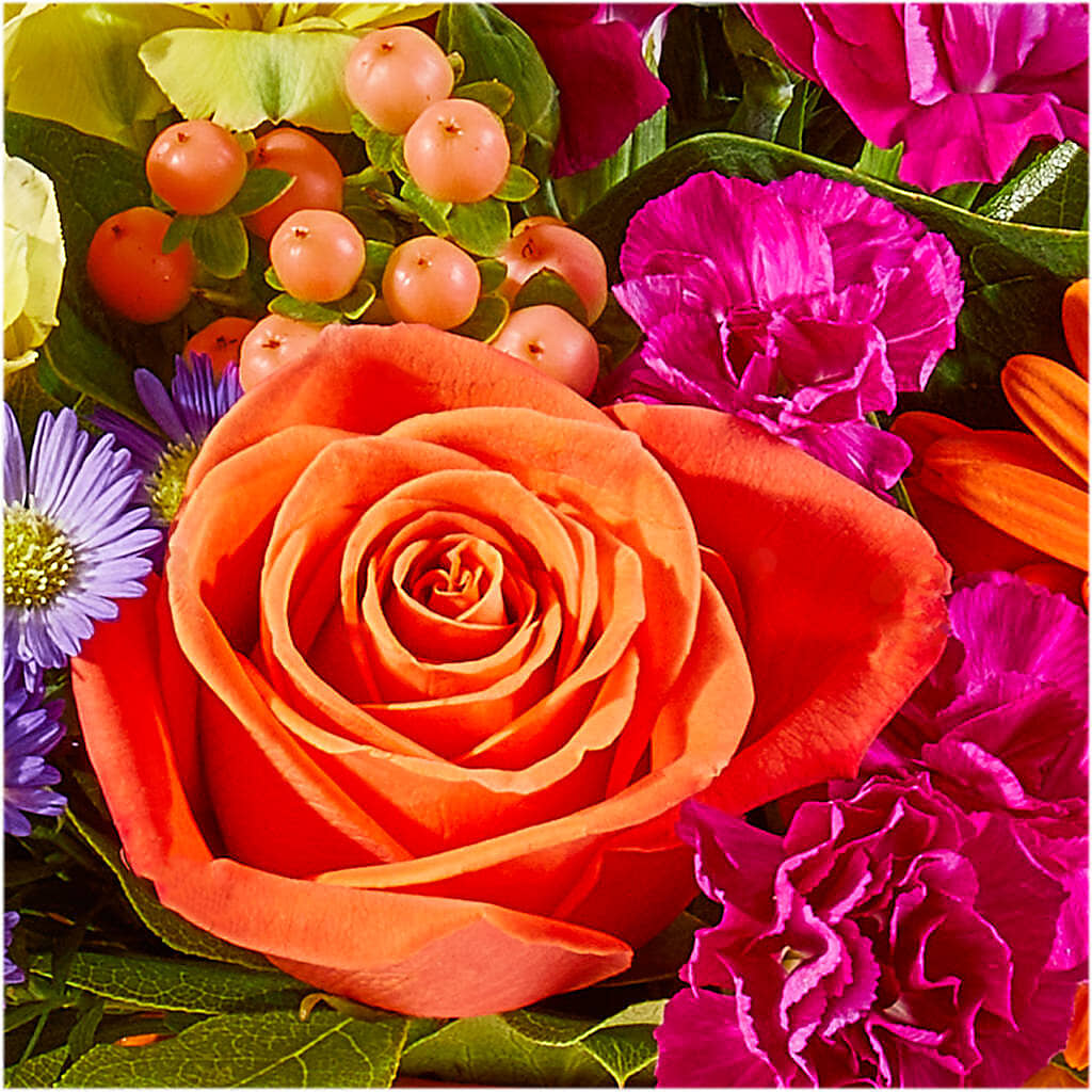 Tricks & Treats Pumpkin –  Charleston Cut Flower Company, Charleston WV