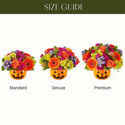 Tricks & Treats Pumpkin –  Charleston Cut Flower Company, Charleston WV