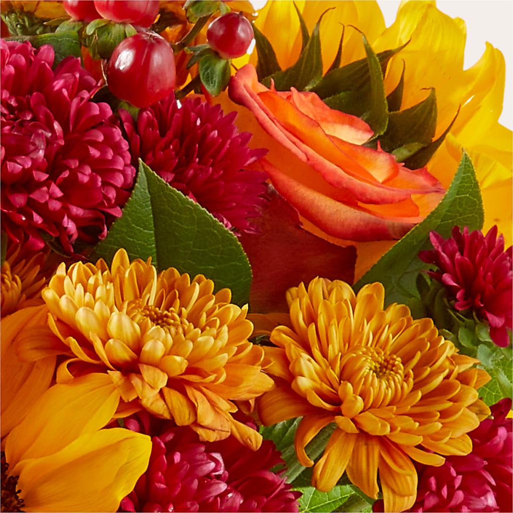Sweater Season - A Florist Original –  Charleston Cut Flower Company, Charleston WV
