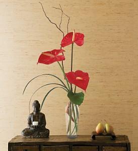 The Simplicity of Anthuriums - by Charleston Cut Flower Co. –  Charleston Cut Flower Company, Charleston WV