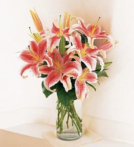 Lovely Lilies - by Charleston Cut Flower Co. –  Charleston Cut Flower Company, Charleston WV