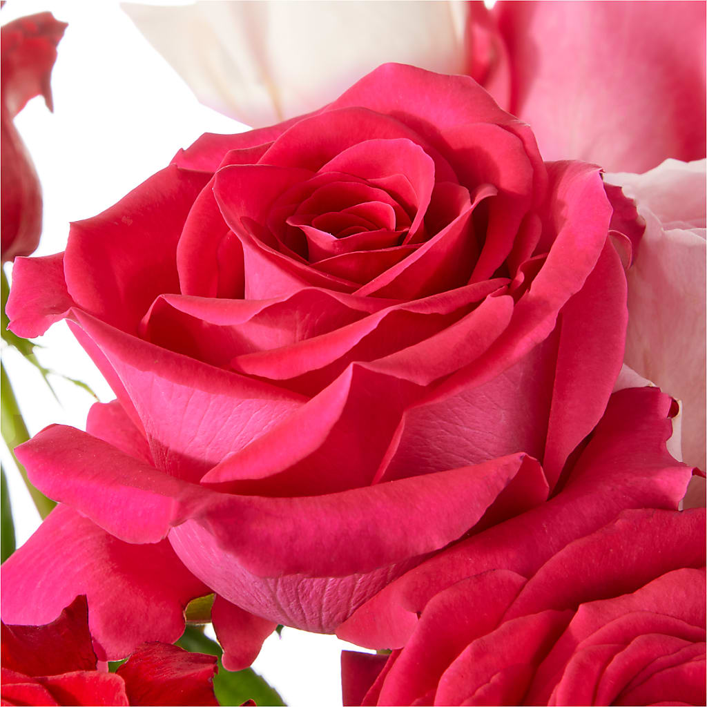 Love Notes Rose Bouquet –  Charleston Cut Flower Company, Charleston WV
