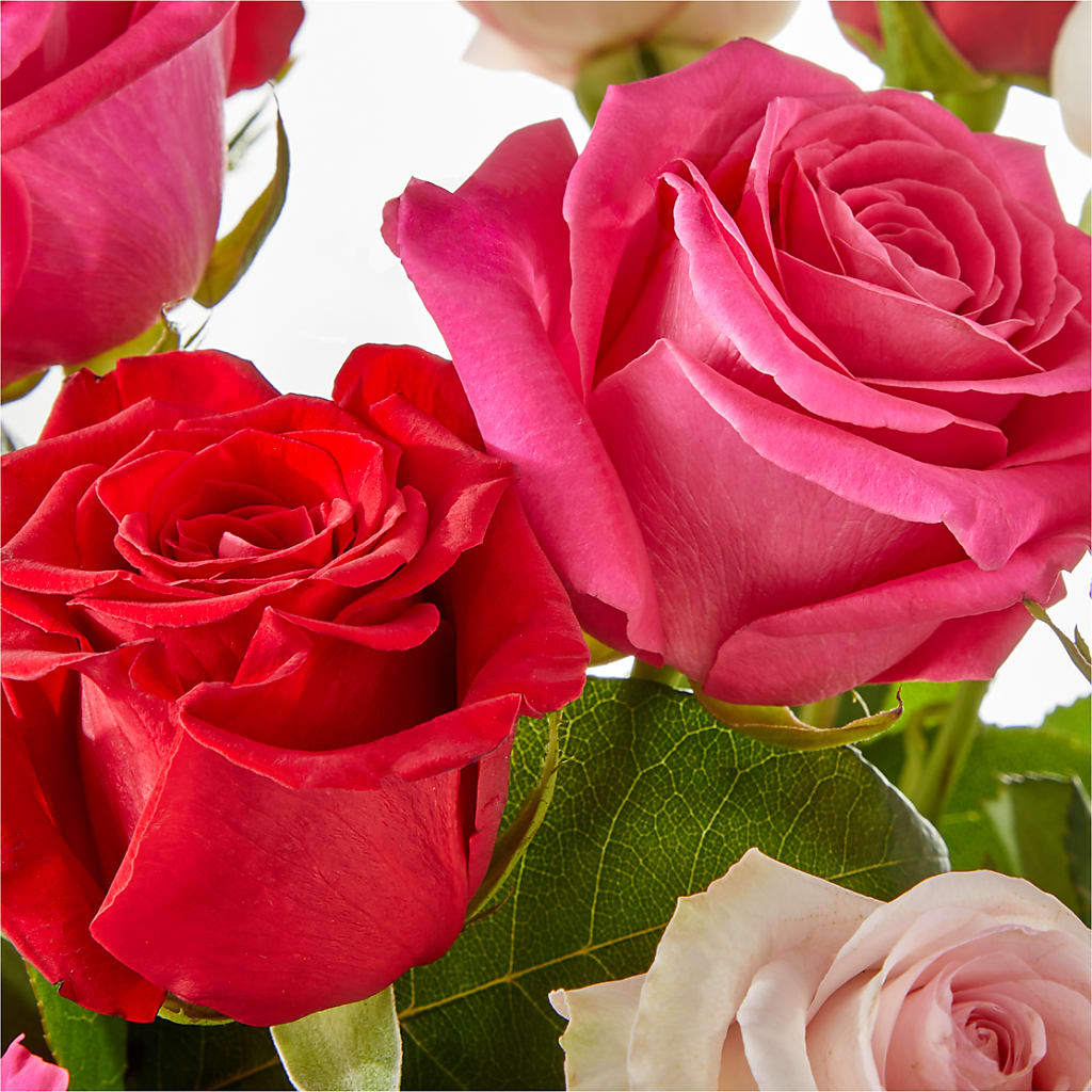 Charming Rose Bouquet –  Charleston Cut Flower Company, Charleston WV