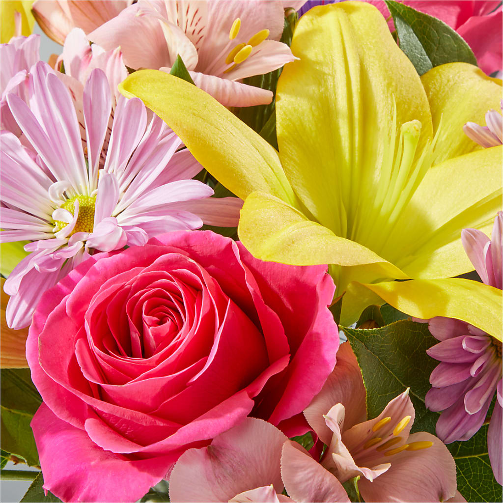 Sprinkles Bouquet –  Charleston Cut Flower Company, Charleston WV