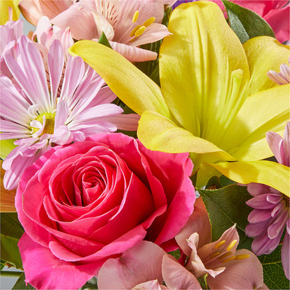 Sprinkles Bouquet –  Charleston Cut Flower Company, Charleston WV