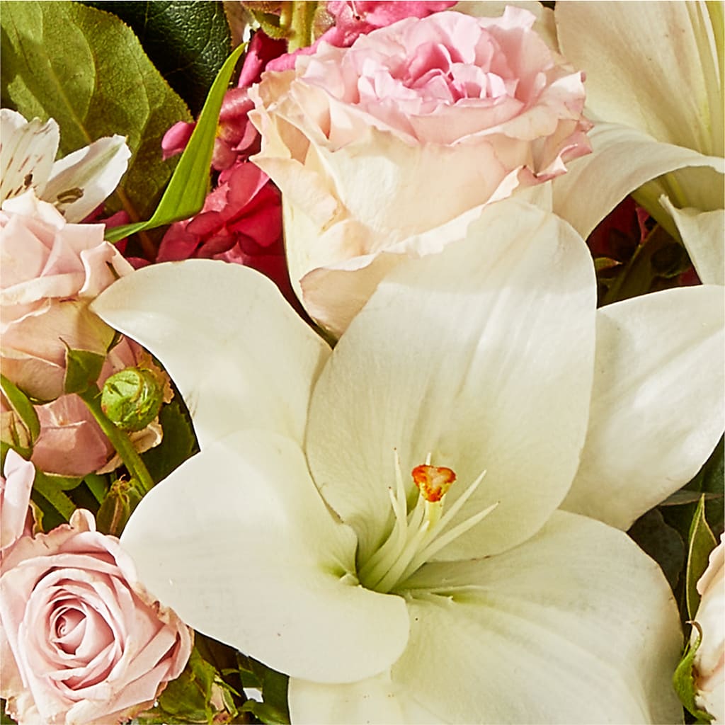 Ballet Slippers Bouquet –  Charleston Cut Flower Company, Charleston WV