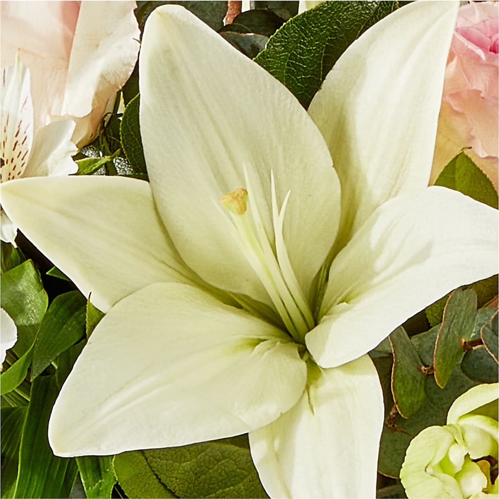 Ballet Slippers Bouquet –  Charleston Cut Flower Company, Charleston WV