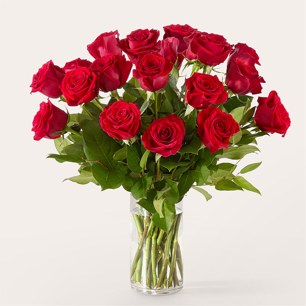 The One Red Rose Bouquet –  Charleston Cut Flower Company, Charleston WV