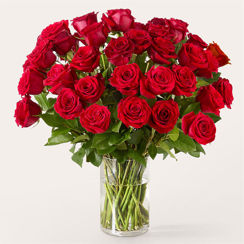 The One Red Rose Bouquet –  Charleston Cut Flower Company, Charleston WV