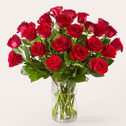 The One Red Rose Bouquet –  Charleston Cut Flower Company, Charleston WV