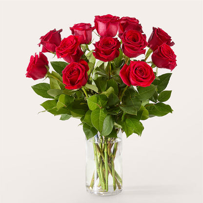 The One Red Rose Bouquet –  Charleston Cut Flower Company, Charleston WV