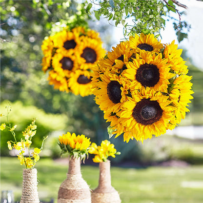 Sublime Garden Hanging Arrangement –  Charleston Cut Flower Company, Charleston WV