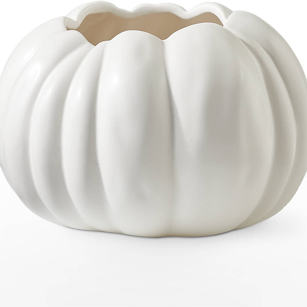 Autumn Air Pumpkin Bouquet –  Charleston Cut Flower Company, Charleston WV
