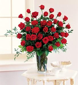 Three Dozen Red Roses - by Charleston Cut Flower Co.